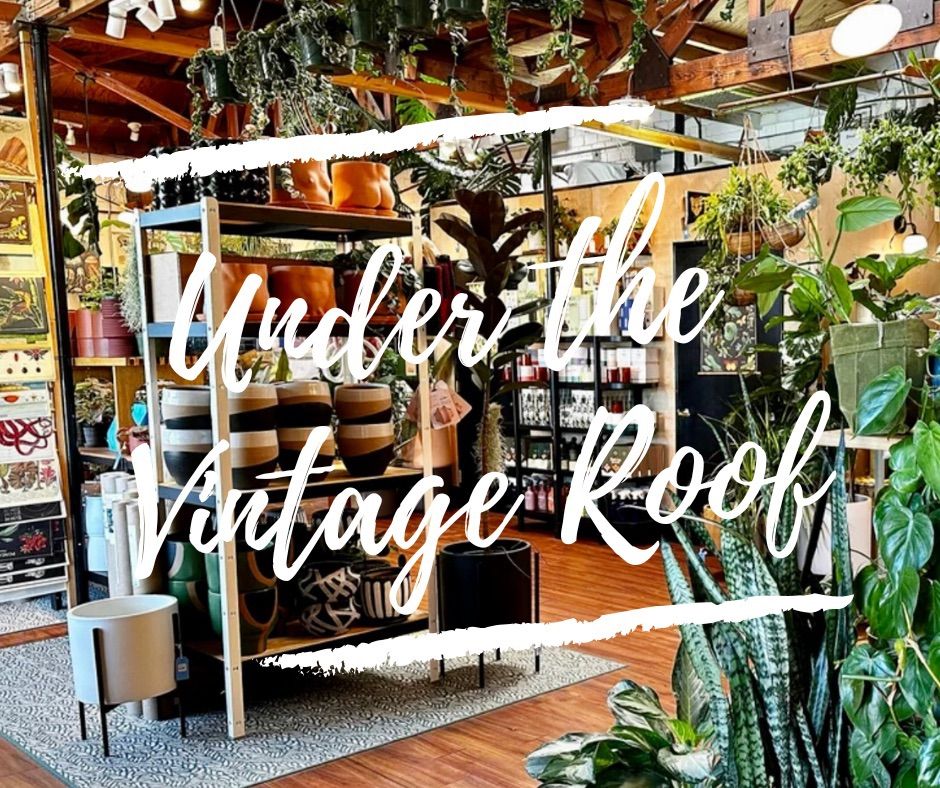 Under the Vintage Roof Historic Building Tour