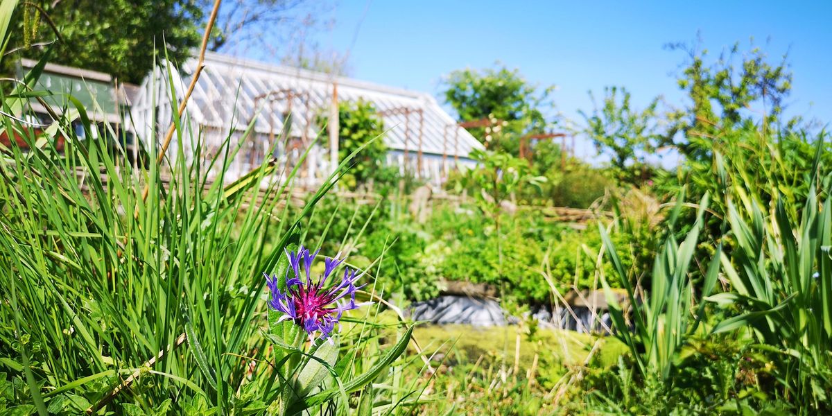 STAA Wednesday Volunteering @ The Heritage Display Garden ('Olivers')