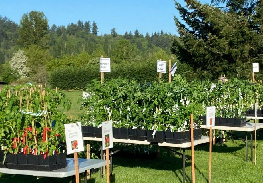 Woodinville Garden Club's Annual Plant Sale