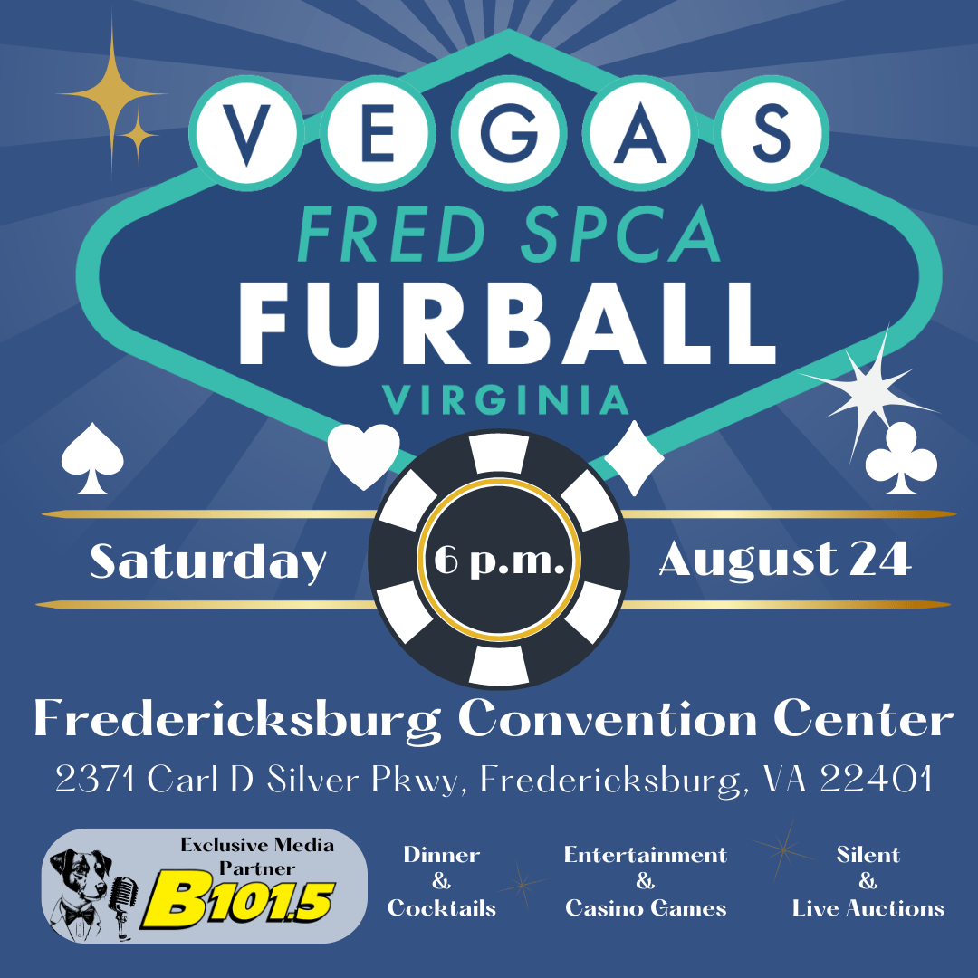 Virginia to Vegas at Warehouse Concert Hall