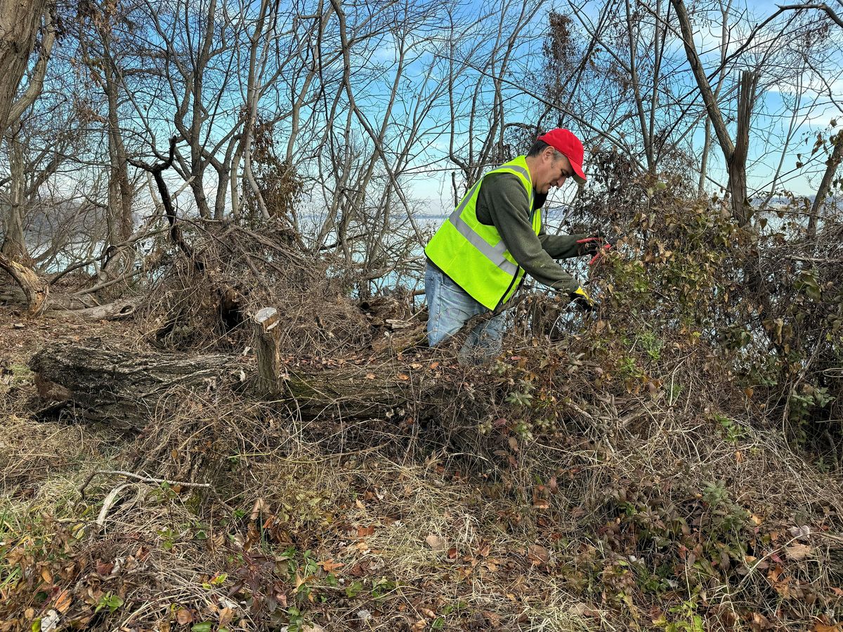 Long Bridge Connector Vegetation and Trash Removal