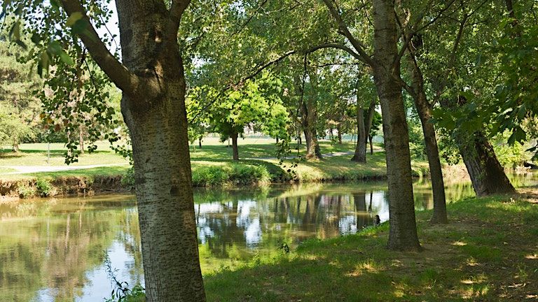 PASSEGGIATA AL PARCO LAMBRO DI MILANO gratuita