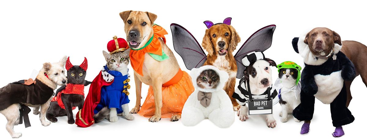 36th Annual Streeterville Doggy (and Kitty) Halloween Party!