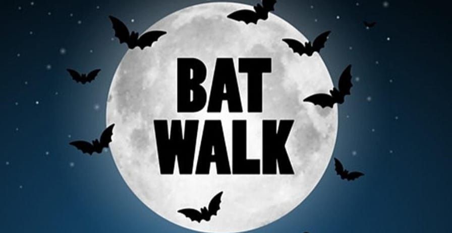 Bat Walk 