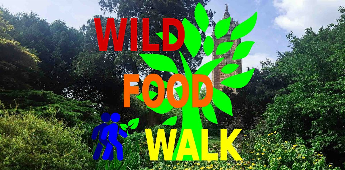 July Brandon Hill Park (Bristol) Wild Food Foraging\/ Forager Walk.