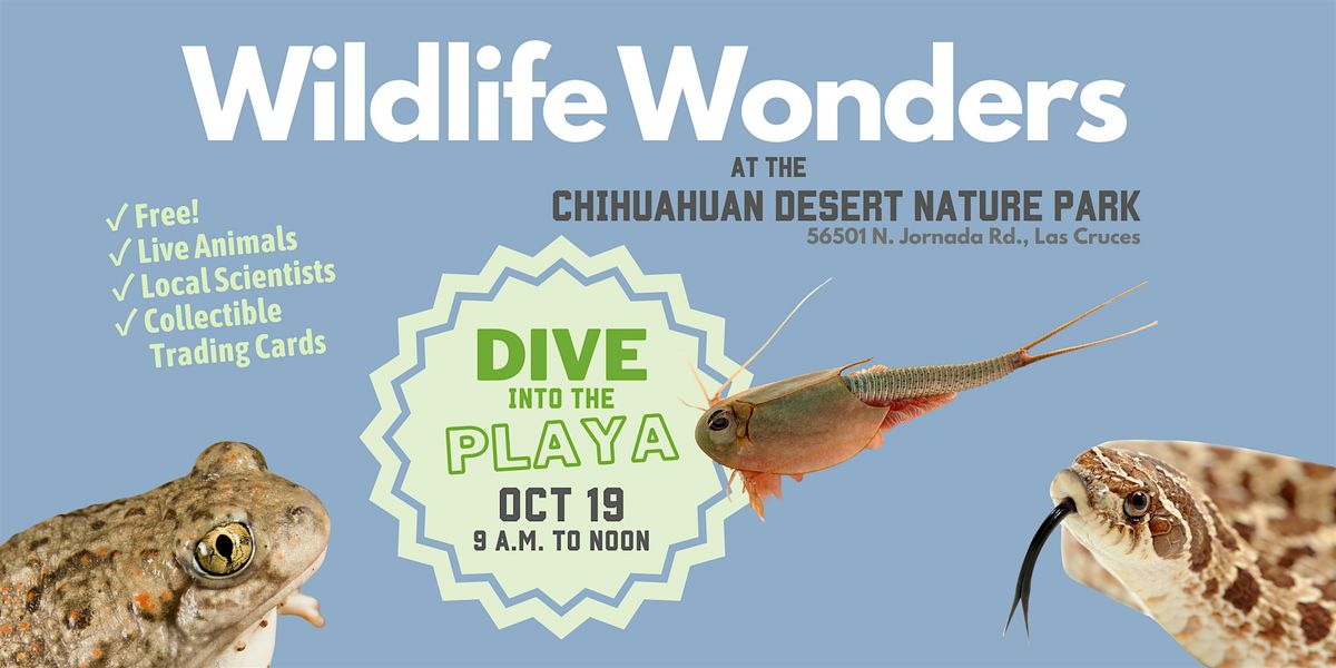 Shrimp in the Desert?? Dive into a Playa!