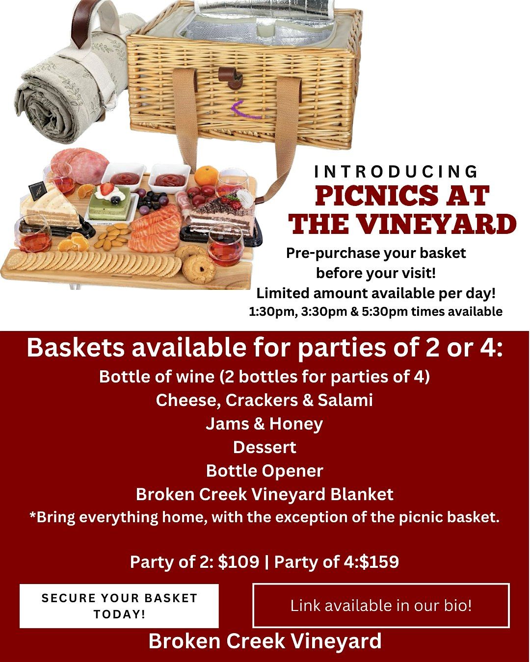 Picnic at the Vineyard