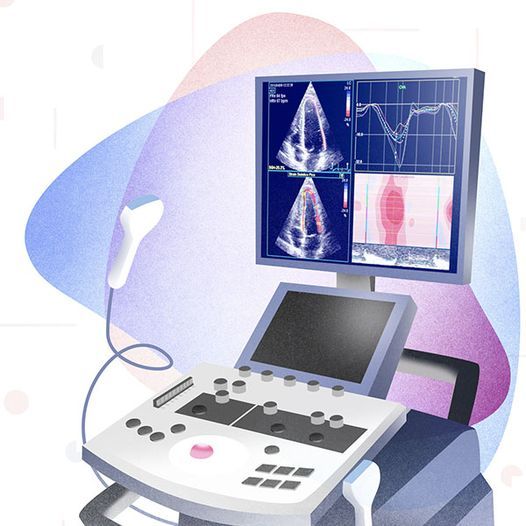 XVI CURSO DE ECOCARDIOGRAF\u00cdA B\u00c1SICA y CURSO DE ECOCARDIOGRAF\u00cdA AVANZADA