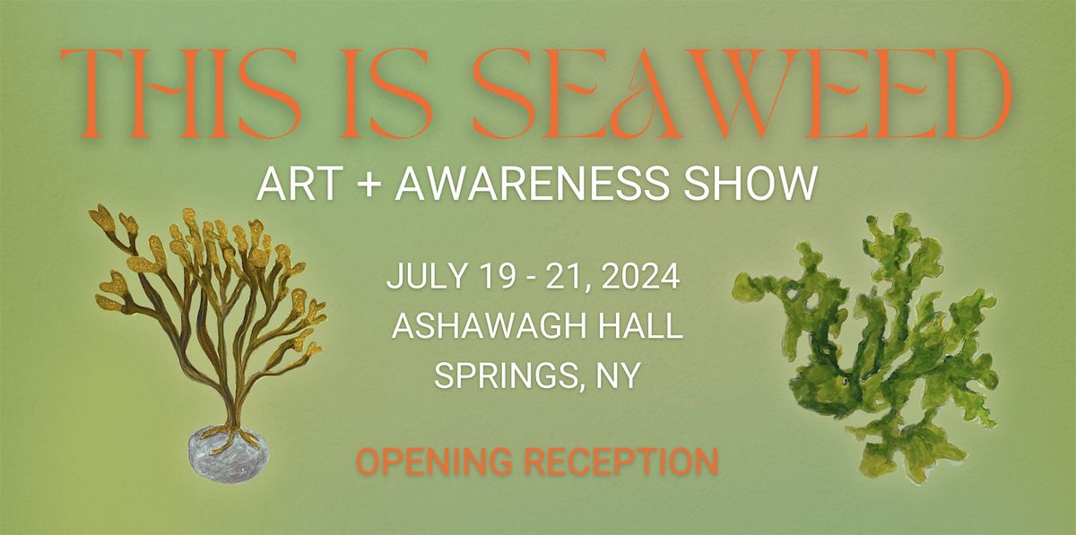 This is Seaweed opening reception