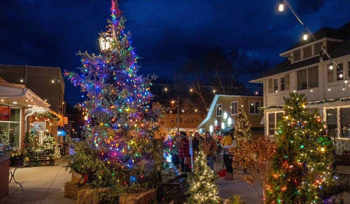 Tree Lighting Ceremony