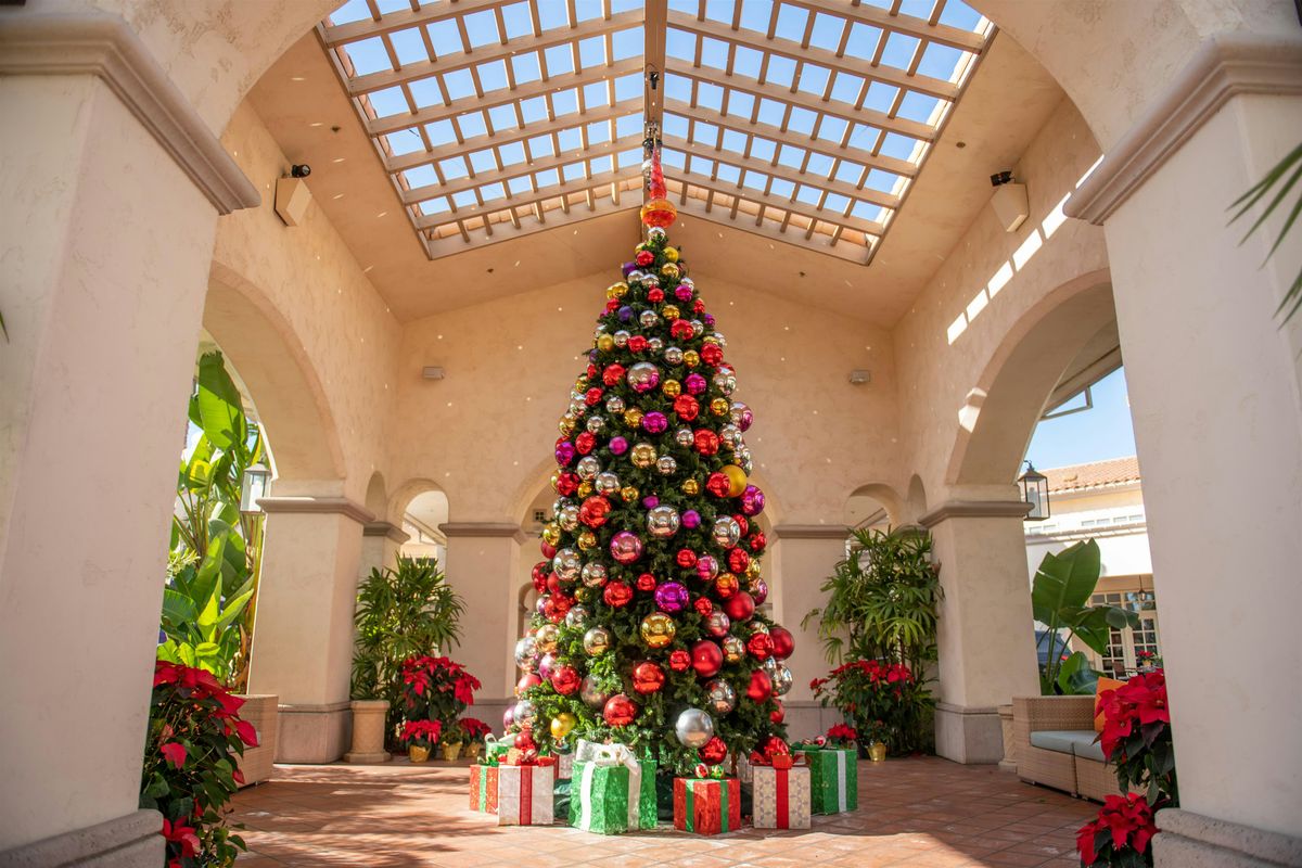 Annual Christmas Tree Lighting Ceremony