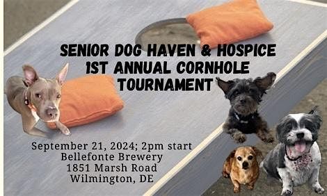 Senior Dog Haven & Hospice 1st Annual Cornhole Tournament