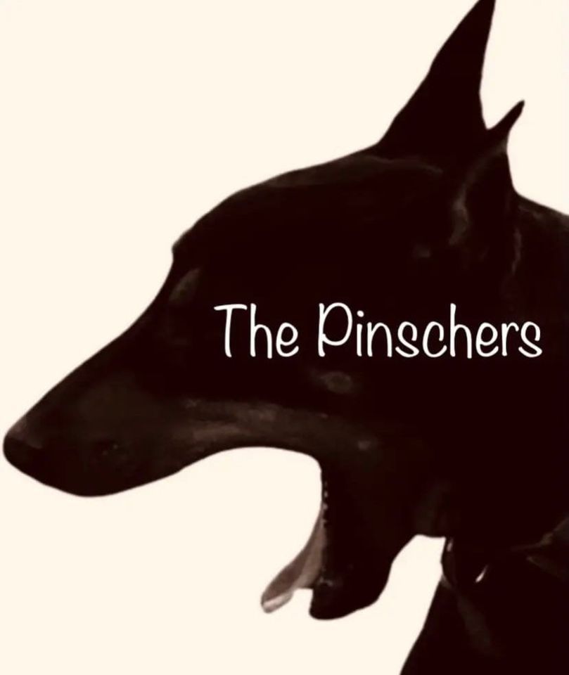 The Pinschers Live!