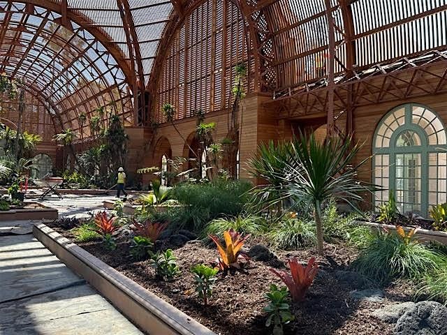 Tour of Balboa Park Botanical Building with Nan Sterman + Tree Tour!