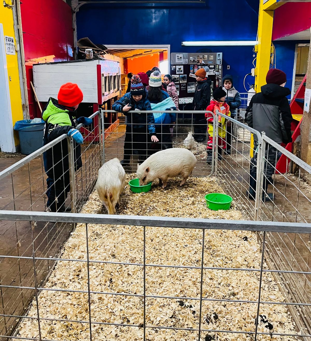 March Break Farm Fun !