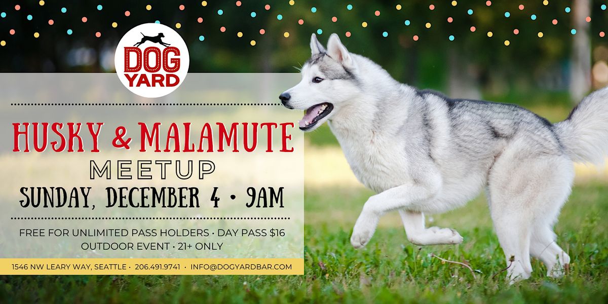 Husky & Malamute Meetup at the Dog Yard Bar in Ballard - Sunday, Dec. 4