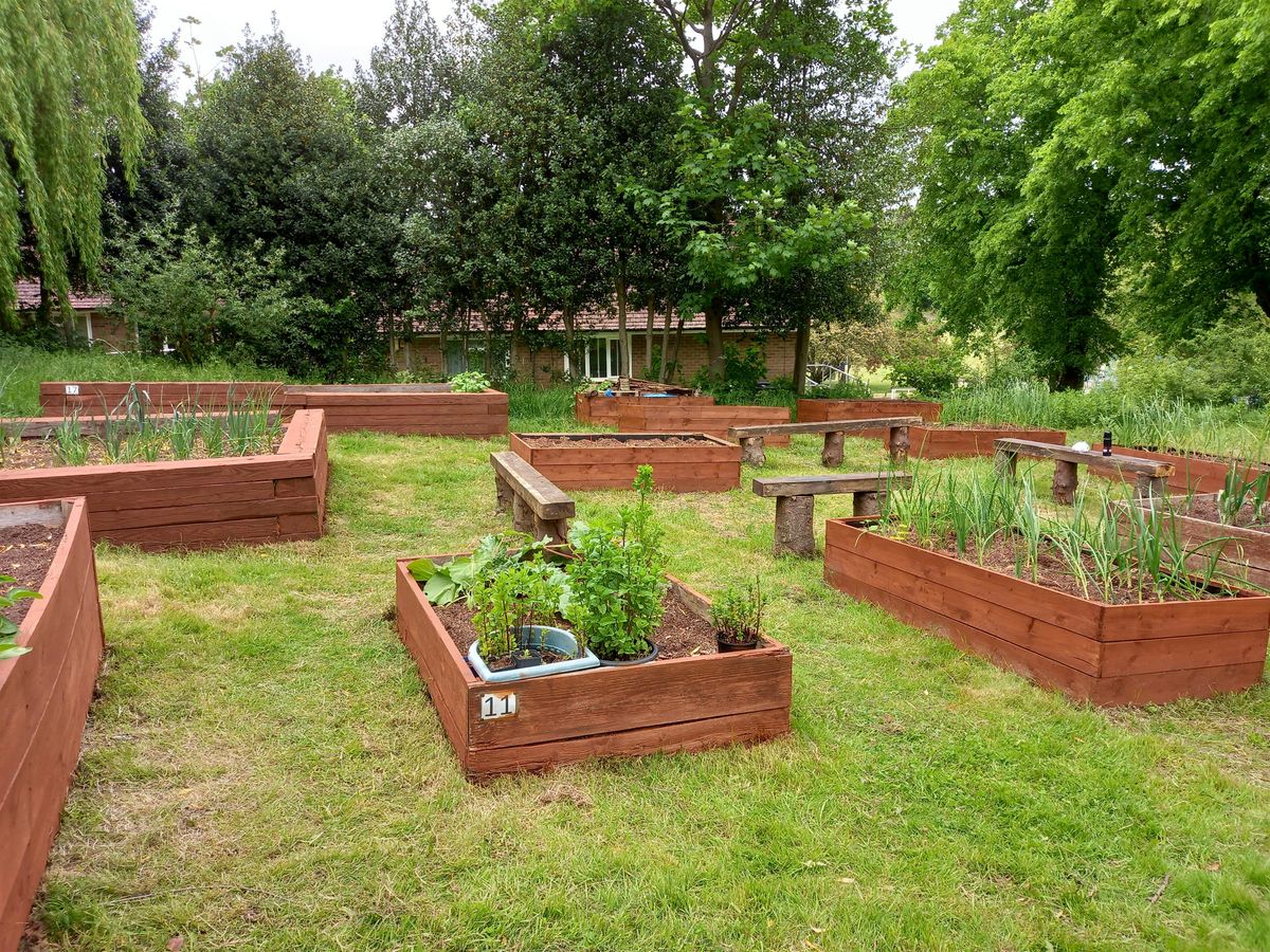 Holloway Hall Community Garden
