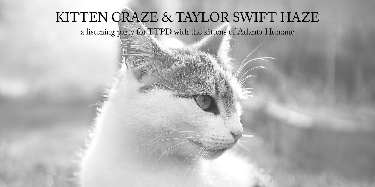 Kitten Craze & Taylor Swift Haze