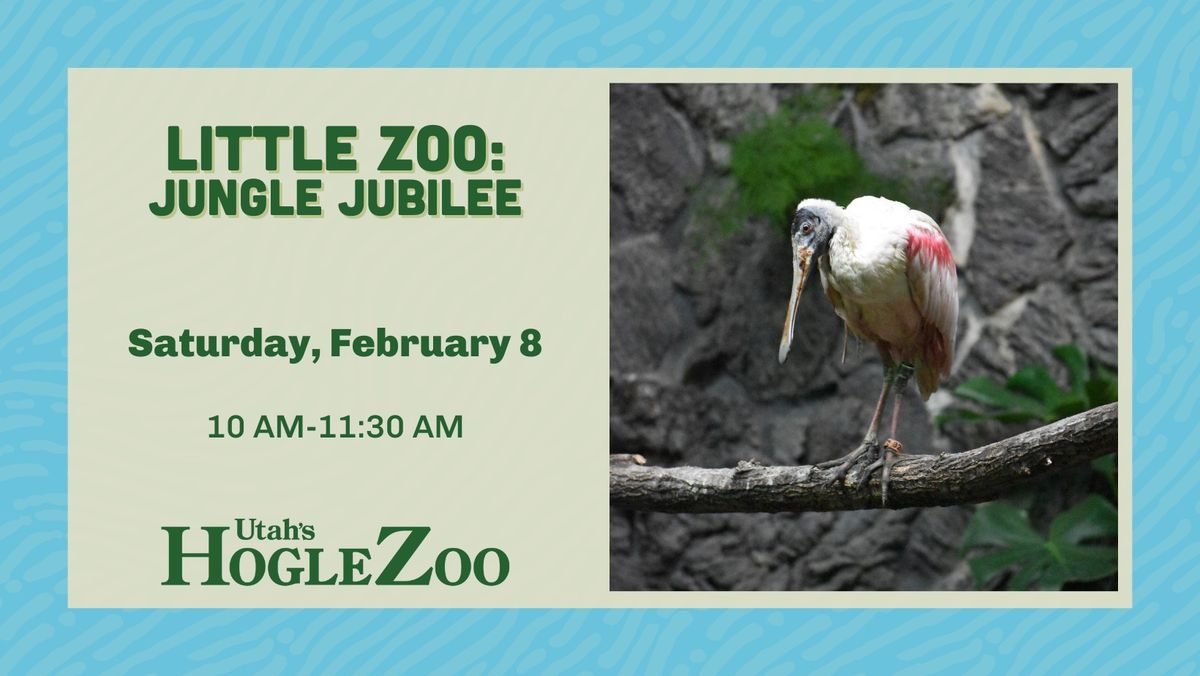 Little Zoo: Jungle Jubilee