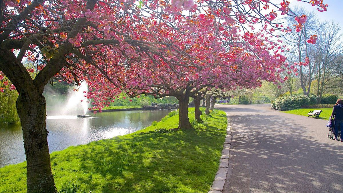 Merseyside  Autistic Adults Walk in Sefton Park