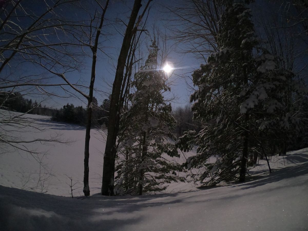 Full Moon Snowshoe Hike