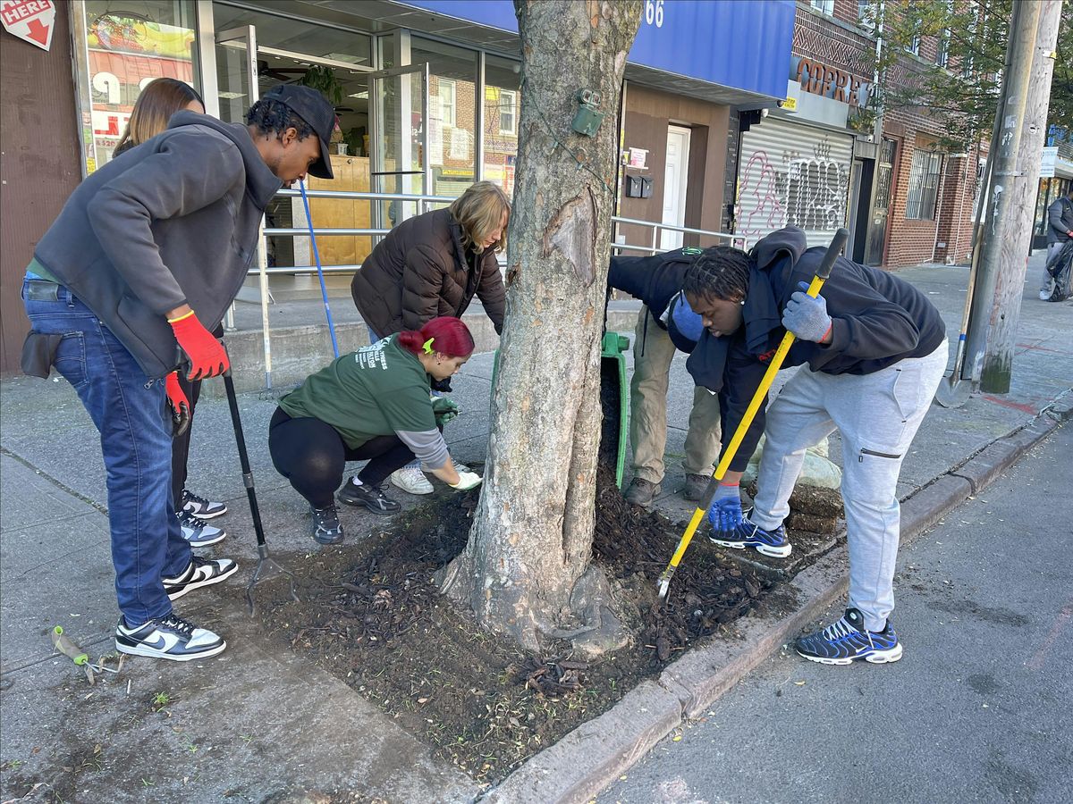 Street Tree Care w\/ Council Member Brewer