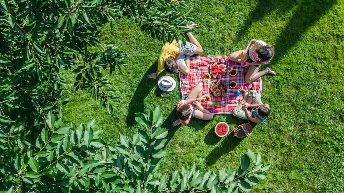 Little Gardeners Summer Picnic