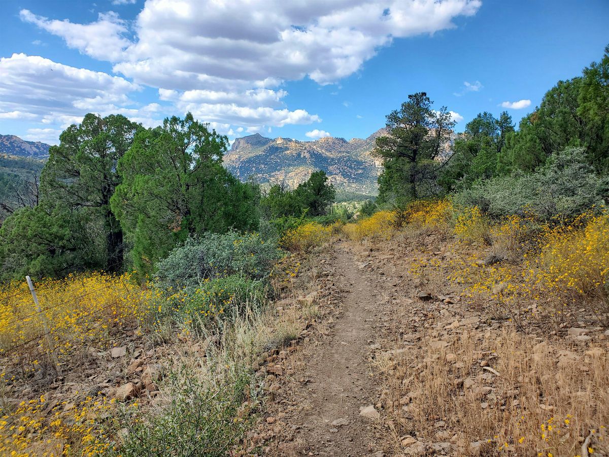 Mogollon Highlands Naturalist Field Camp at Granite Basin