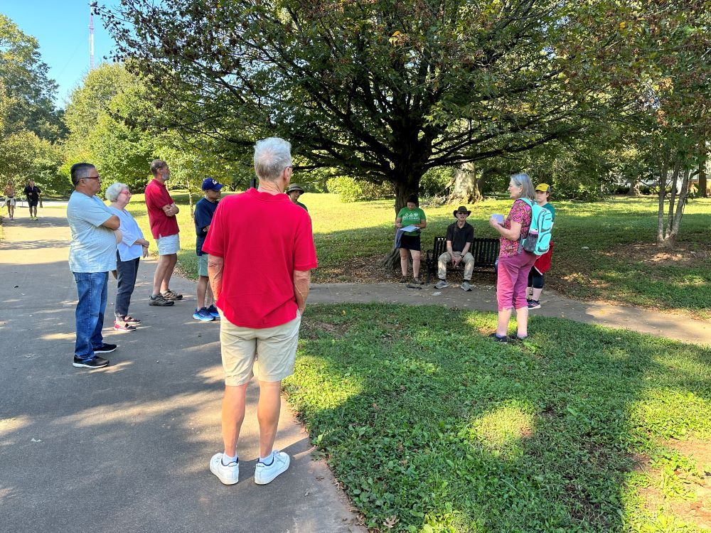 Tree Tour: A Canopied Walk Through Time