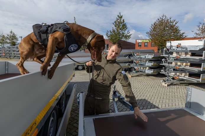 Scent Detection And Tracking Workshop With Wesley Visscher