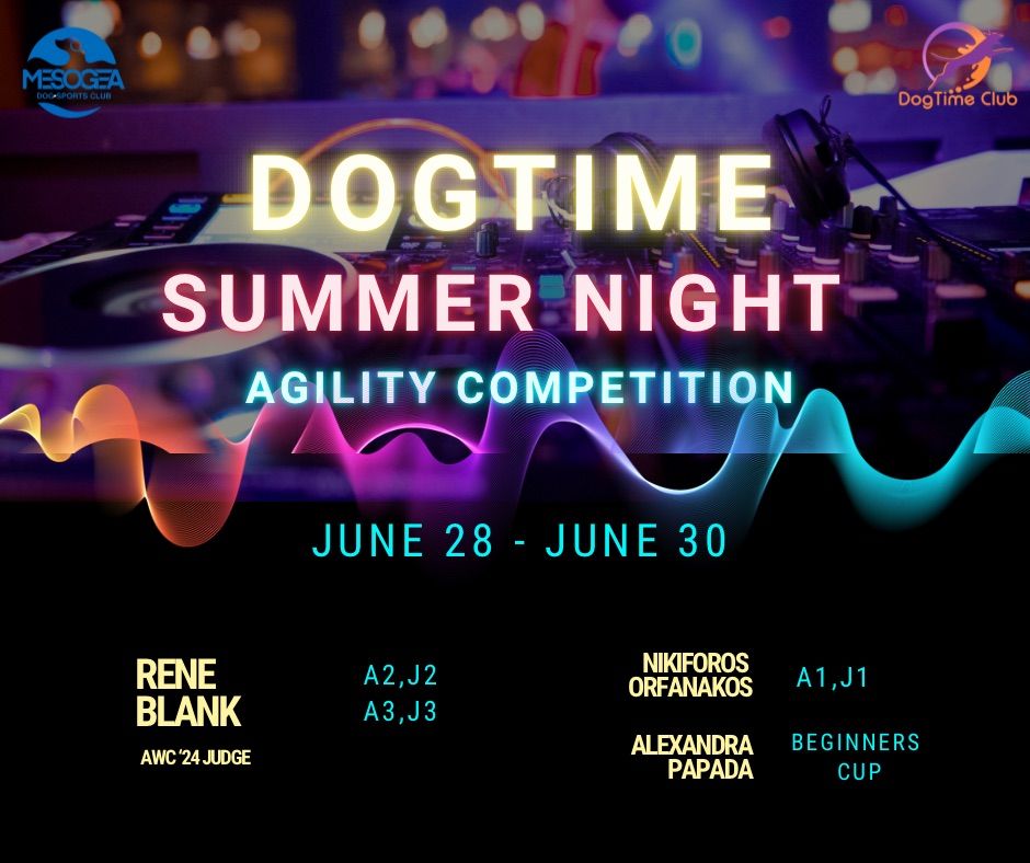 Summer Night Agility Competition