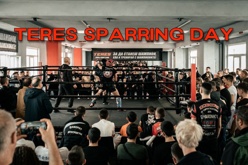 TERES Sparring Day 02.02.2025