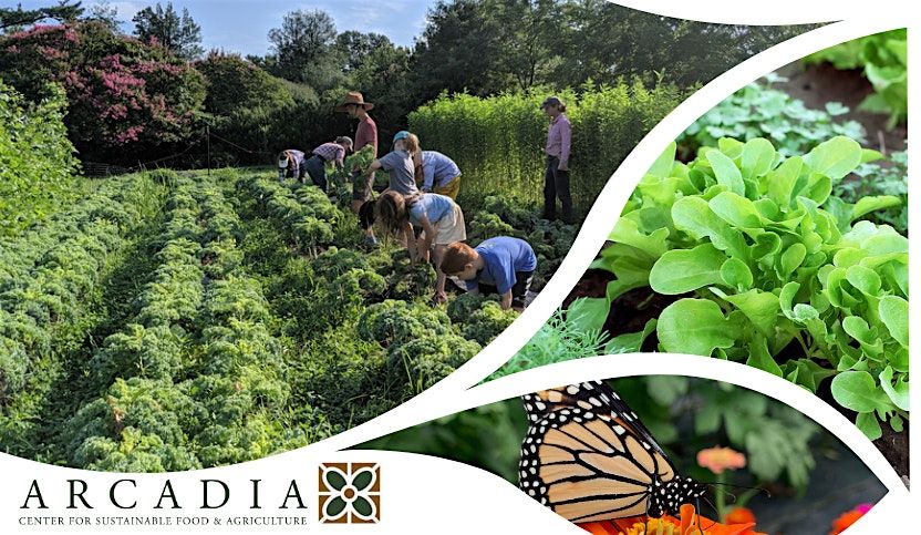 Volunteer at Arcadia's New Community Farm