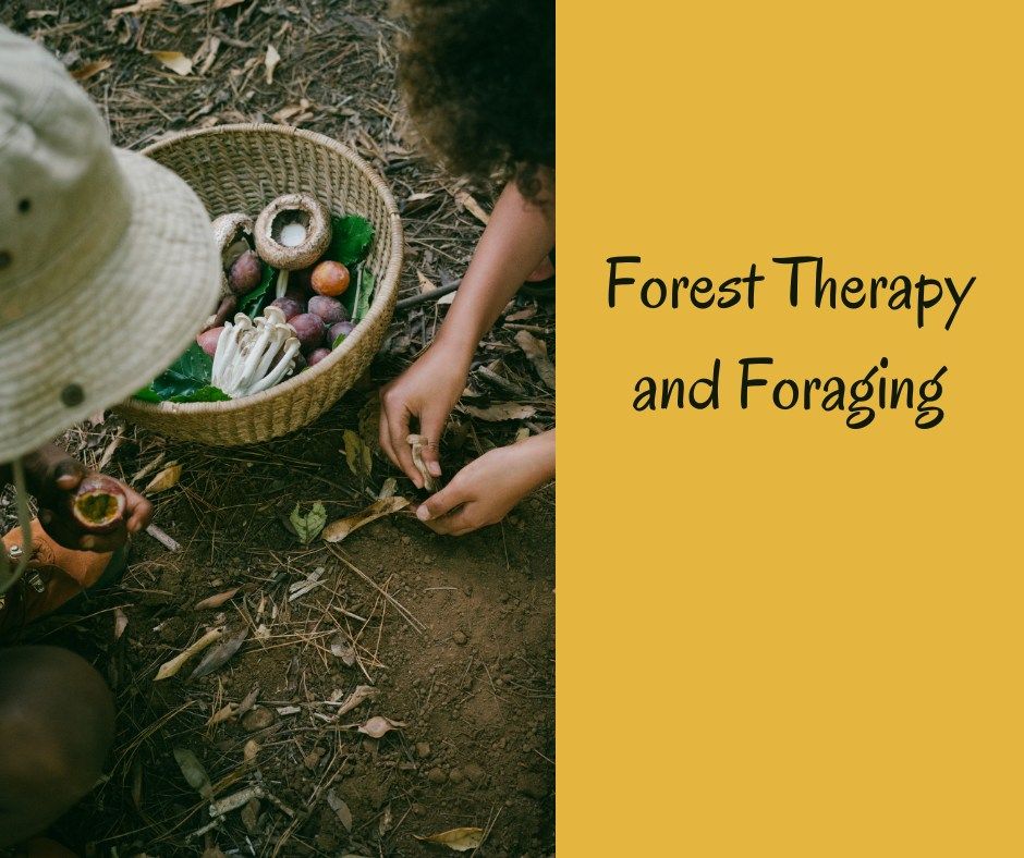 Foraging & Forest Therapy Walk