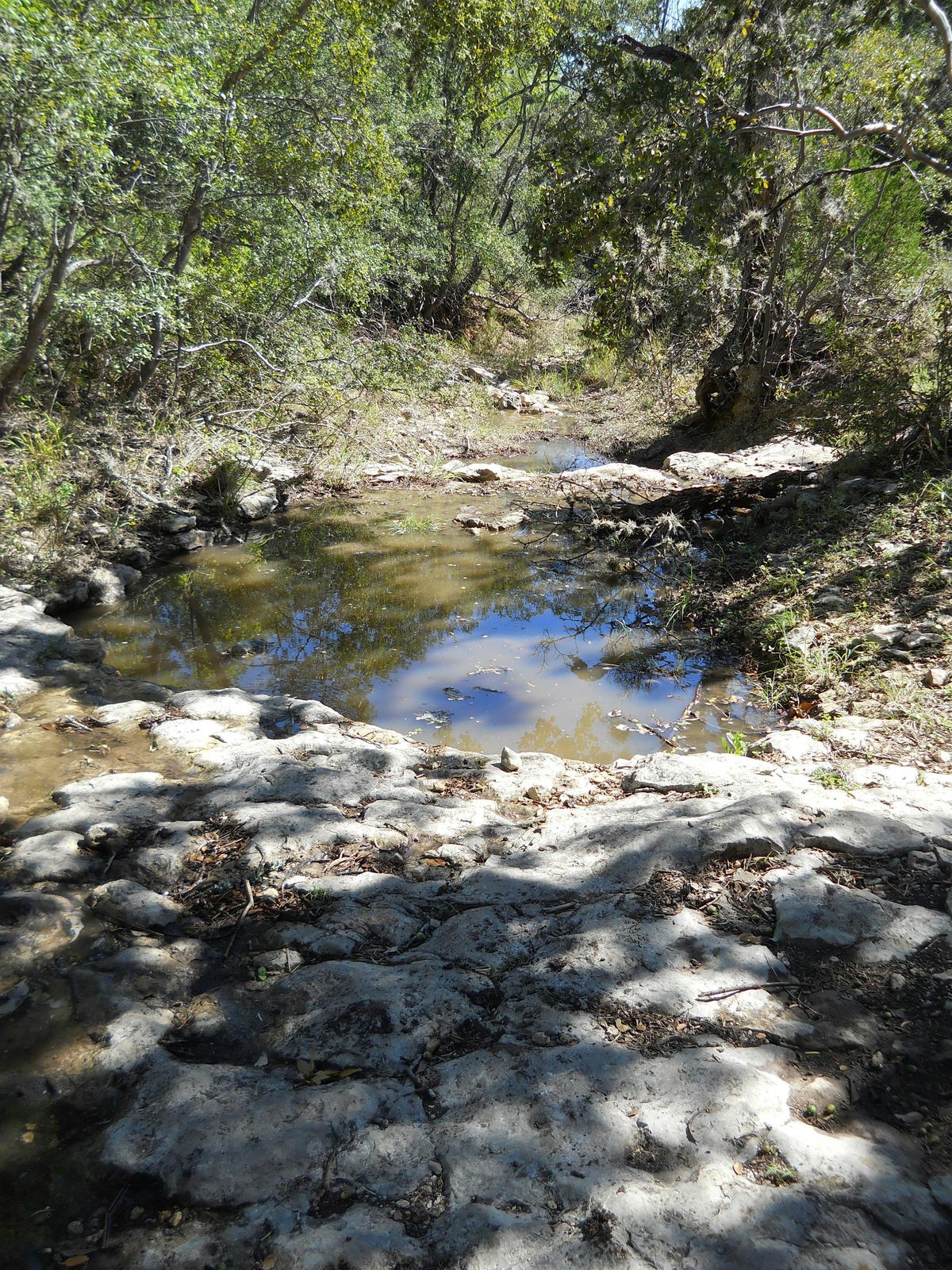 Starting Out Wild: Fish Full Lakes and Rivers