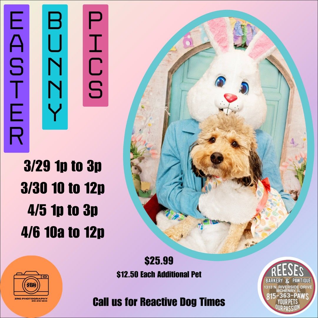 Easter Bunny Pics with ZRG Photography