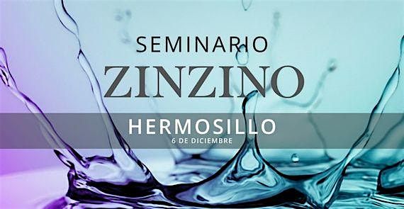 Seminario ZINZINO Hermosillo