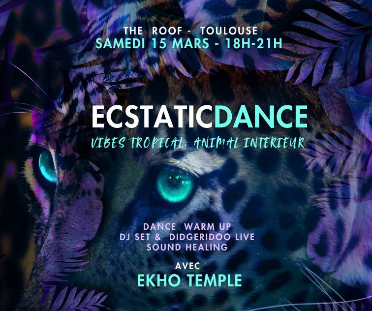 ECSTATIC DANCE Vibes Tropical, Animal Interieur