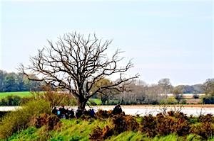 Winter walk at Martlesham Wilds Nature Reserve. WG52896