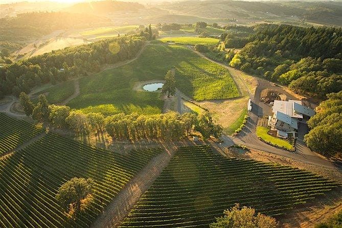 TOUR DEVINE BY HELI - HELICOPTER WINE TOUR 2024 | OREGON