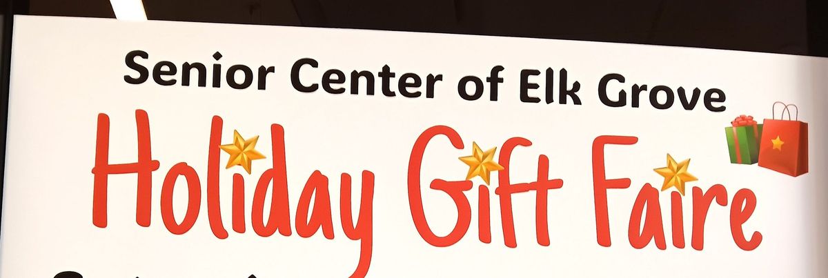 Books and more at Elk Grove Holiday Faire