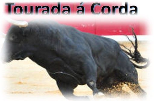 I.E.S. Bull Expedition \/ Tourada \u00e1 Corda