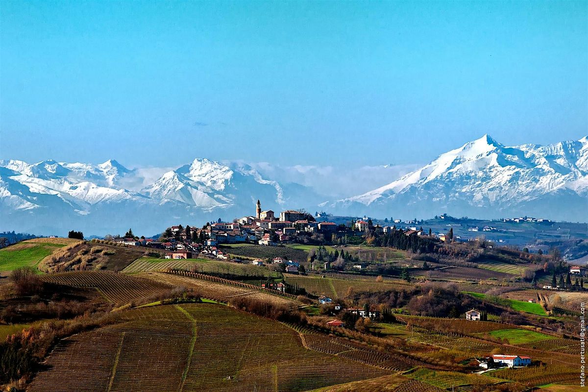 Wine Class - Piedmont