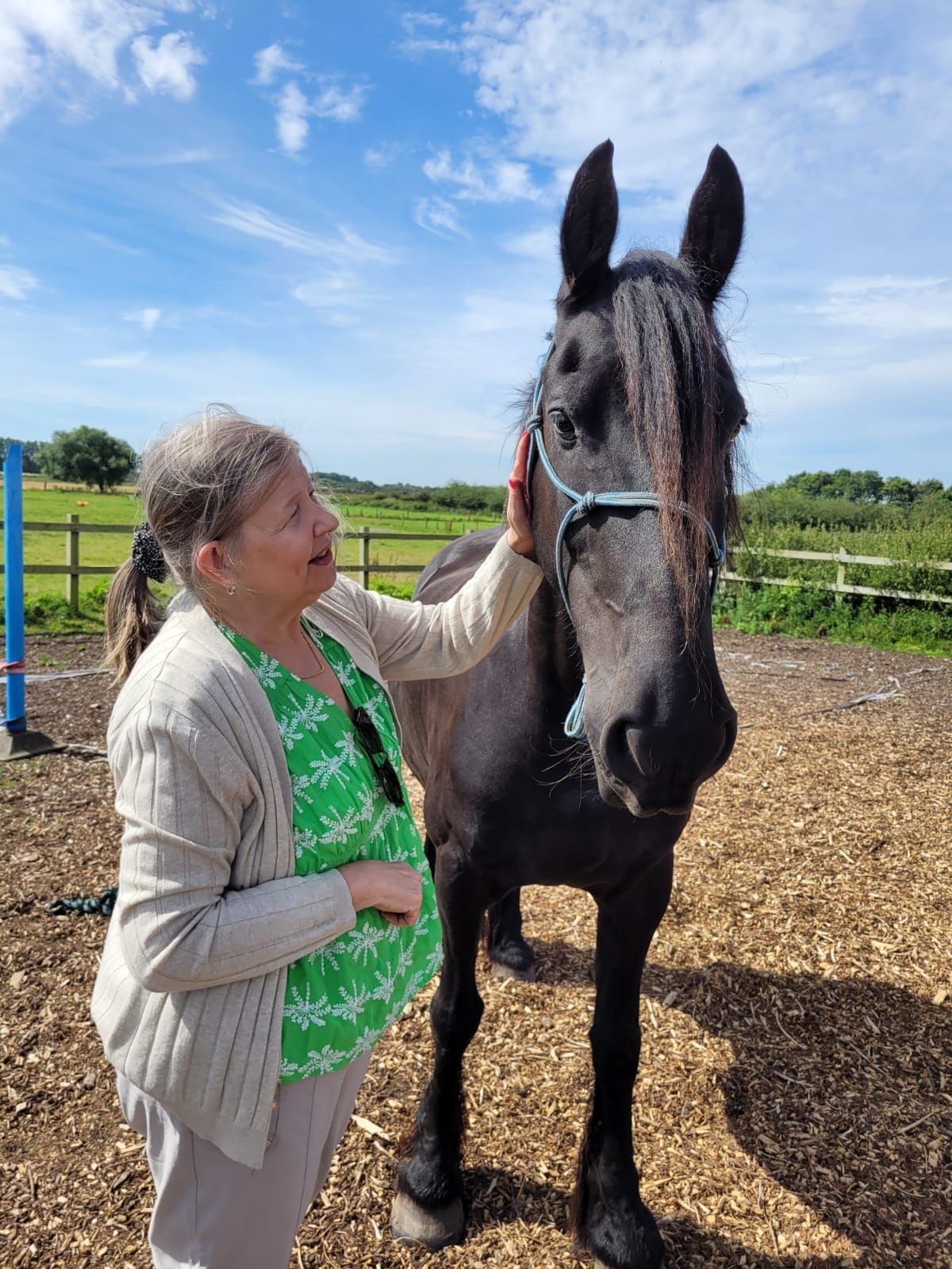 Adults Equine assisted Learning Afternoon