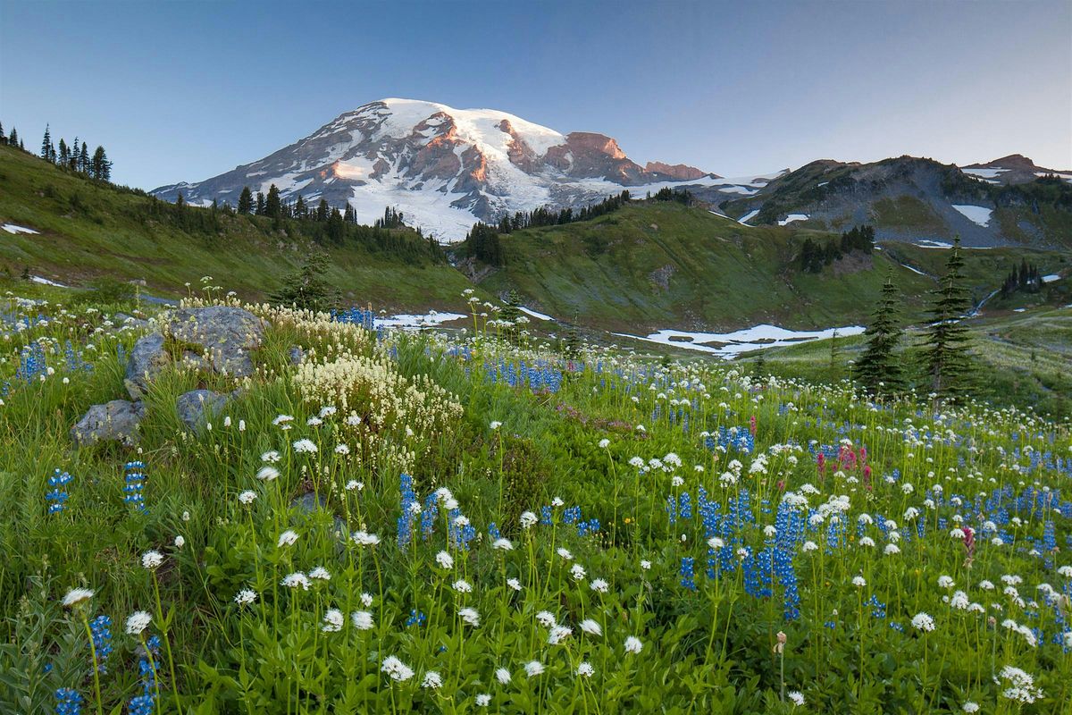 Nature & Landscape Photography with John Greengo