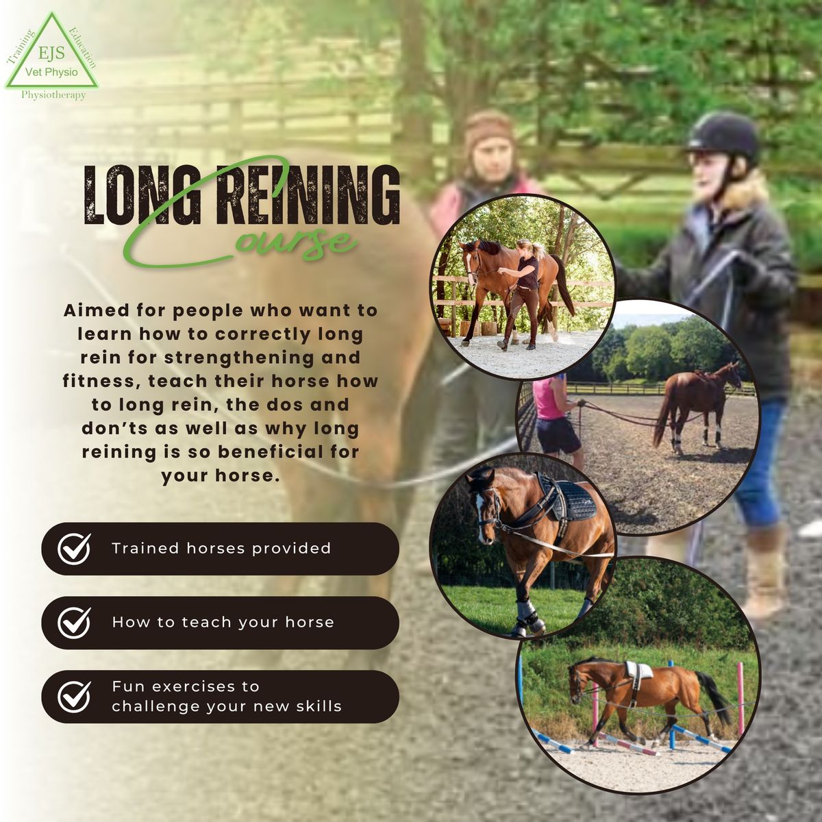 Long Reining 