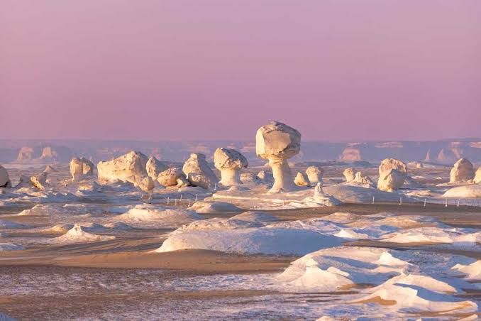 Baharia Oasis & White Desert