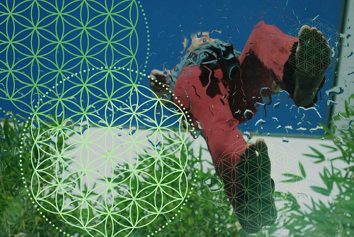 Walking Meditation in the Park