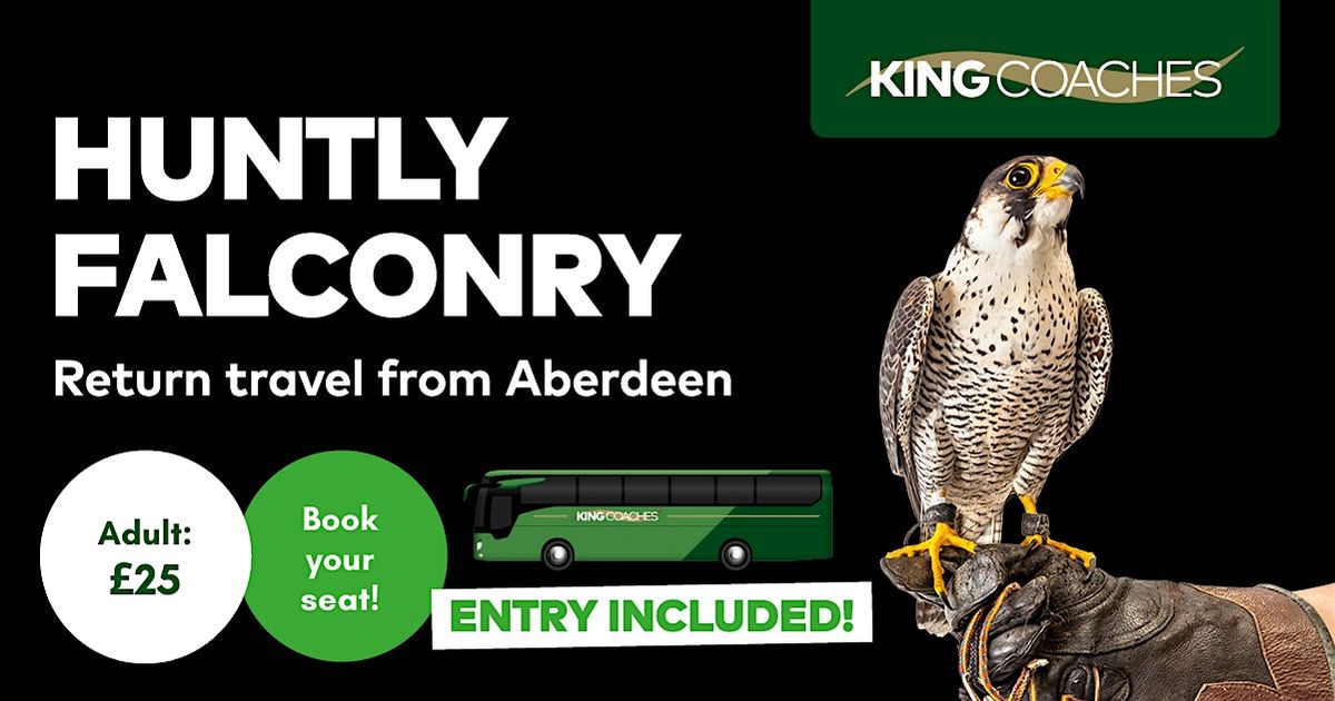 Huntly Falconry Day Trip from Aberdeen