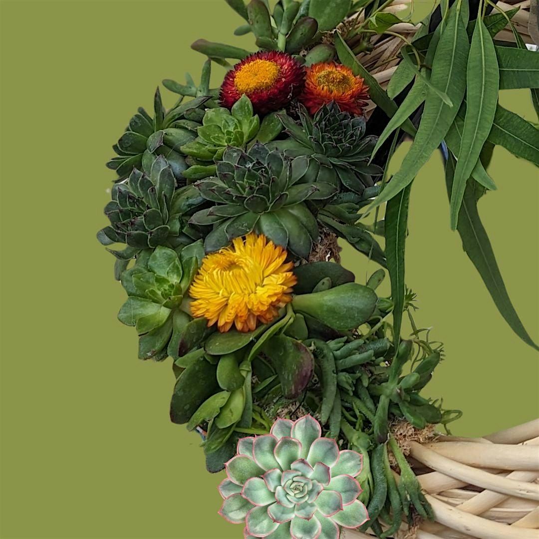 Living Succulent Wreaths